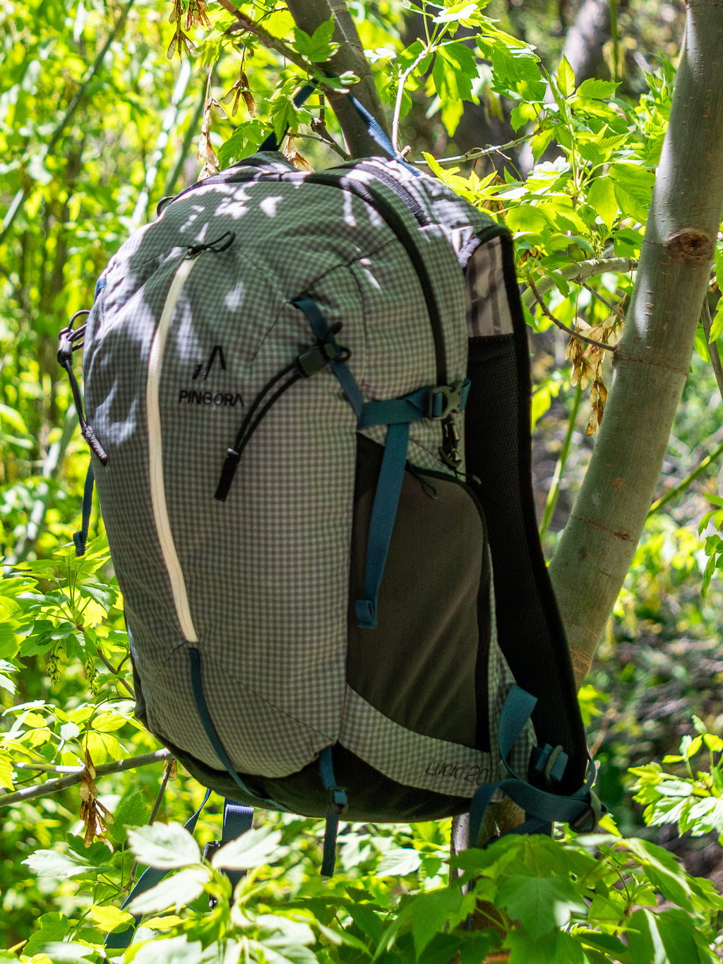 Pingora Lucid 20 Backpack hanging on a tree branch in a forest setting