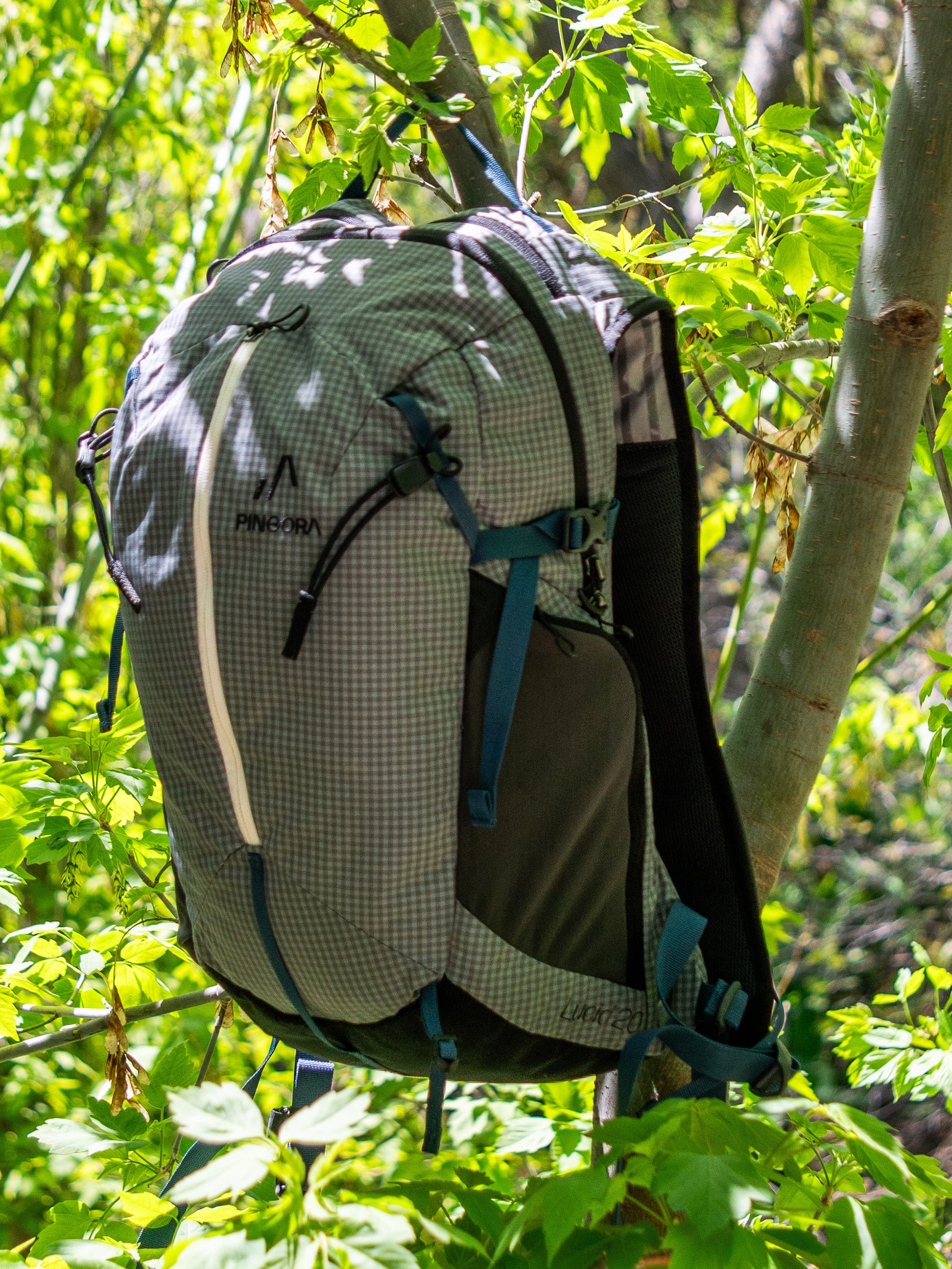 Pingora Lucid 20 Backpack hanging on a tree branch in a forest setting