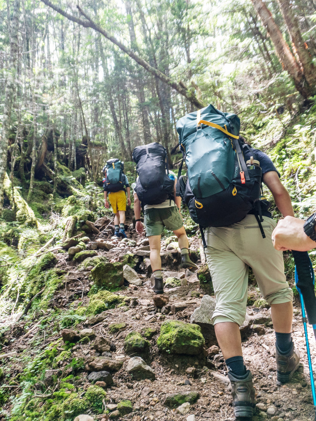 Pingora Outro Backpacking Backpack on models