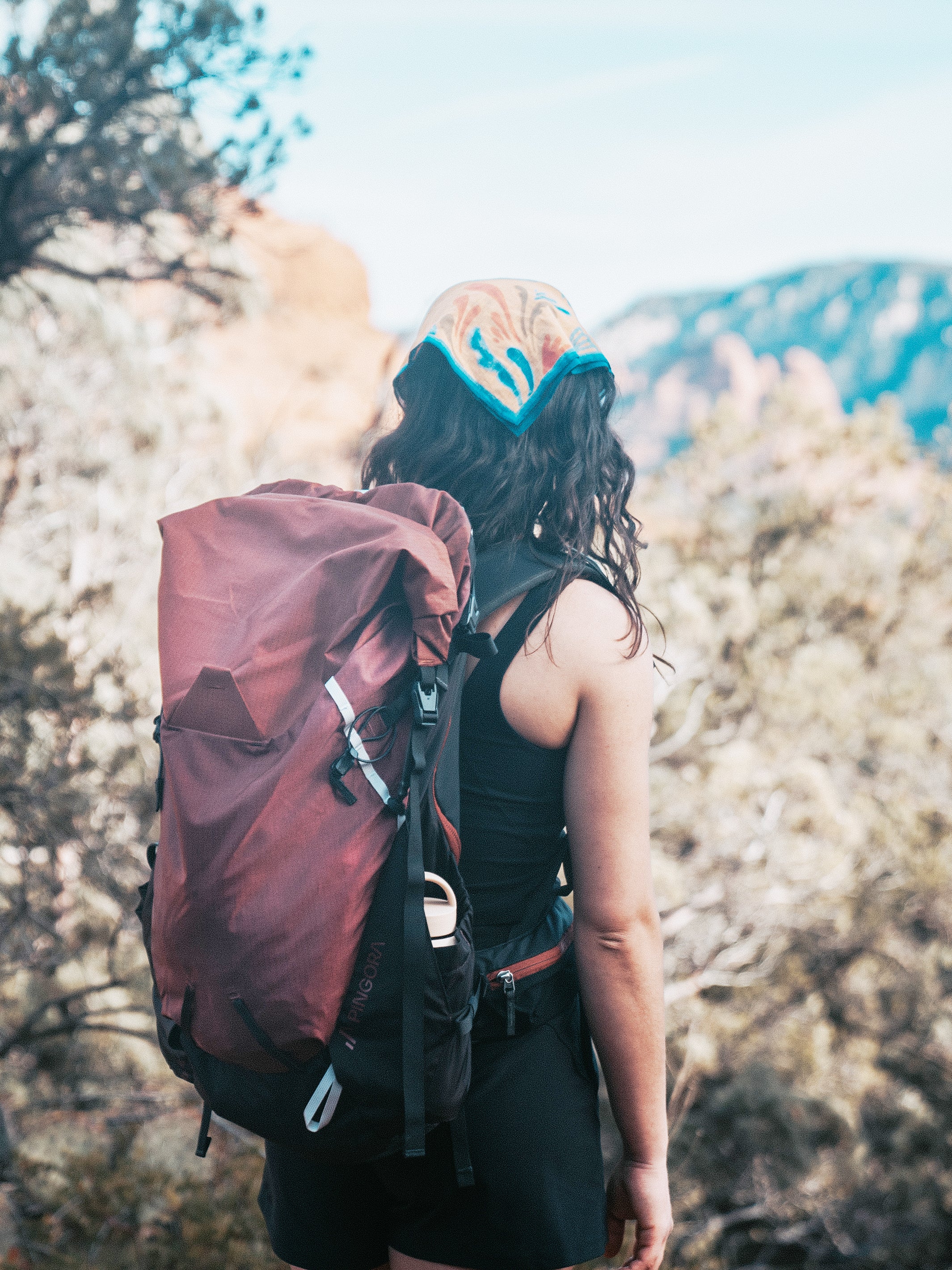 Pingora Outro Backpacking Backpack on model