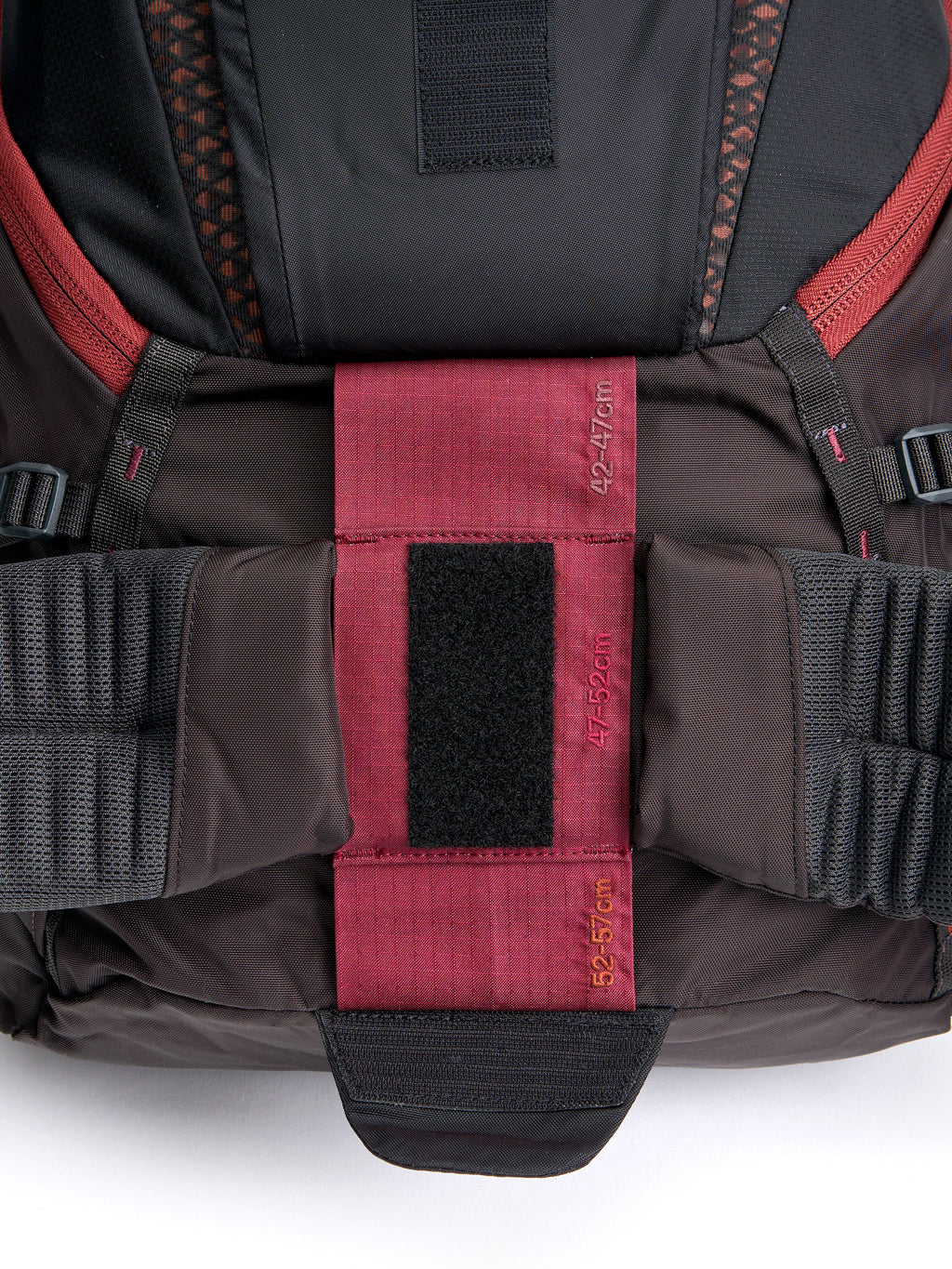 Pingora Outro Backpacking Hip Belt