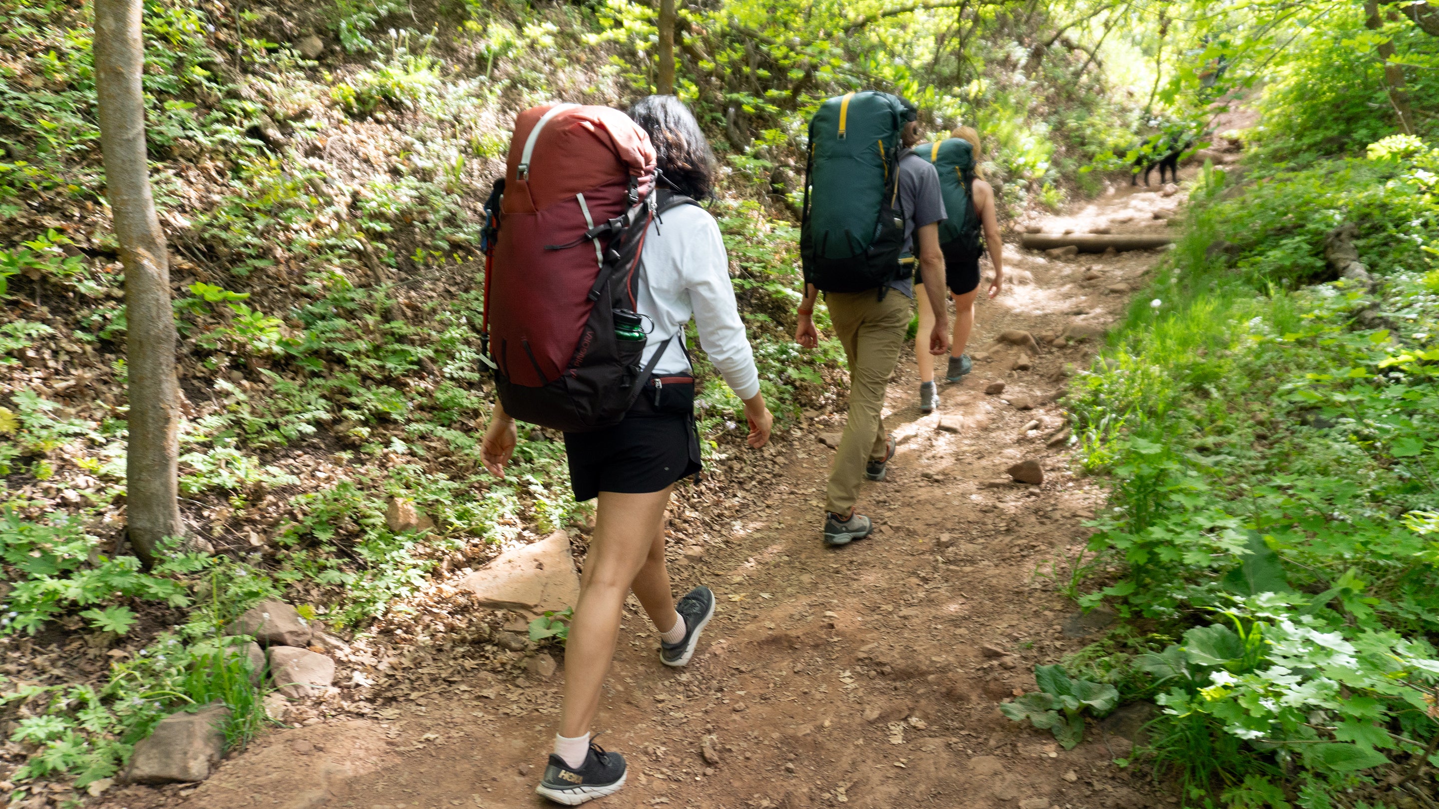 People hiking on a trail with Pingora Outro Backpacking backpacks in a forest